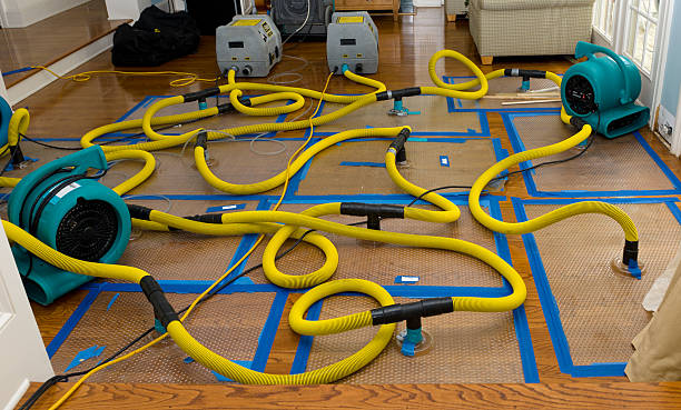 Professional Crawl Space Water Removal technician working in Bokeelia, FL